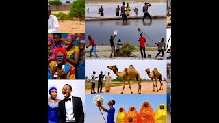 The Quirky Side of Nigeria This Weekend - From Camels to Superfoods | Show Wey No Get Name - EP15