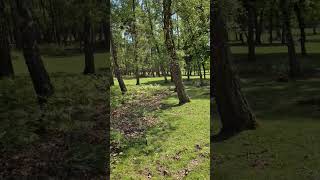 schönes Wetter im Tierpark