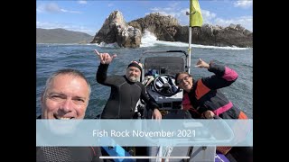 Diving Fish Rock November 2021