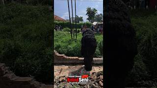 NGERI GRANDONG SEREM INGIN LONCAT KE SUNGAI #shorts #viral