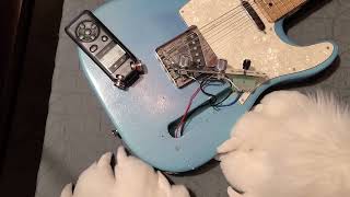 [Furry ASMR] Quietly Disassembling My Guitar | Softly Spoken, Wood & Metal Sounds