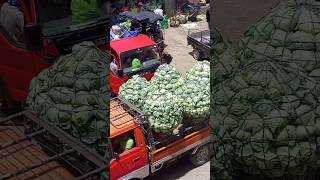 vegetables truck #viral #trending #viral #shortvideo