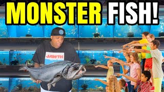 Monster Fish sold at Local Fish Store!