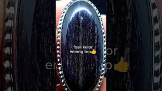 galih kelor motif kendit emas #galihkelor #viral #batuakik #gemstone #batufosil #perhiasan