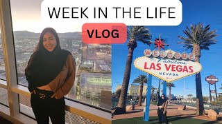 Weekly Vlog: Two days in Las Vegas, home updates, Christmas 2022 #dreamhome #lasvegas #sanantonio