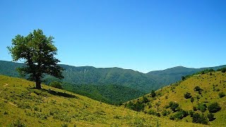 TRA CIELO E TERRA