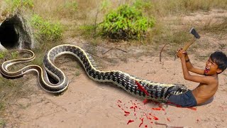 easy snake trap - build underground snake trap & chicken catch big snake in hole #snaketrap