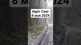 Идёт Снег 8 мая 2024