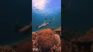 What are you waiting for ??? Freediving Discovery