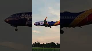 Southwest flight sunset landing at BWI