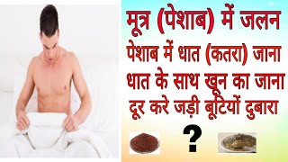 पेशाब में जलन धात खून जड़ से खत्म #viral #short #shortsfeed #youtubeshorts #shorts