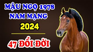 Tử Vi Tuổi Mậu Ngọ 1978 Nam Mạng Năm 2024 Đón Trọn Lộc Trời Ban, Kiếm Tiền Tỷ Gửi Ngân Hàng | TVV