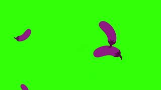 Flying Aubergines Green Screen 🍆