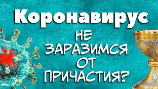 Можно ли коронавирусом заразиться от Причастия? (о. Владимир Головин)