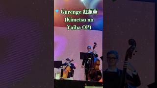 Gurenge 紅蓮華 (Kimetsu no Yaiba OP1) #orquestra #demonslayer #animefriends