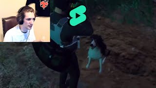 A Dog Saves xQc's Life on NoPixel