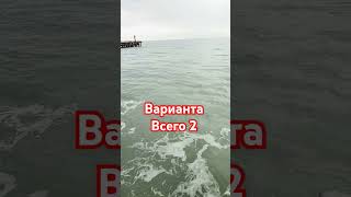 Варианта Всего 2