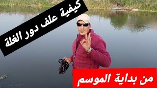 كيفية علف دور الغلة من بداية الموسم