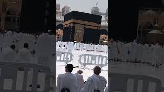 أذان الظهر يوم السبت 13 أغسطس 2022 من الحرم المكي الشريف