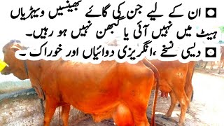 Anestrus - Repeat Breeder Treatment - Dr Waheed Ahsan -Thanday mosam ka faida uthayen