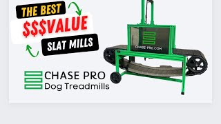 SO SMALL, BUT SO MUCH GO!!!!!!! 5kg Patterdale terrier on our Large Professional Chase Pro Slatmill