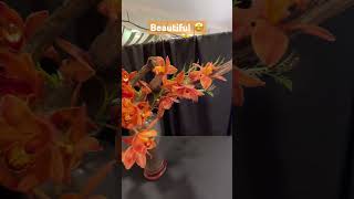 ✅Lindo Arreglo Floral con Orquídeas 🧡#shorts#orchidflowers#arrangement#sborchidshow#viralvideo