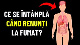 Ce se Intampla Cand Renunti la Fumat? (2024)