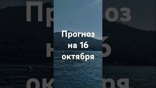 Прогноз на 16 октября - Фэншуим с Верой - Фэн-шуй - астрология