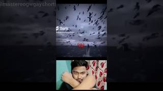 Bombastic Bird 🕊️🤣🤣#short #viral #meju