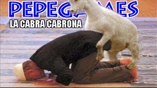 Goat Simulator - La cabra cabrona