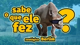 ZOOLÓGICO DE BERLIM: Olha o que ele fez! ANIMAIS ENGRAÇADOS