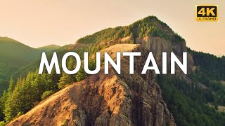 Mountain Scenery Summer Wind Sound Effect | Nature Video 4K