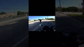 CBR 600RR WHEELIE #fyp #shorts #honda #motorcycle #stunts #wheelie #popular #viral