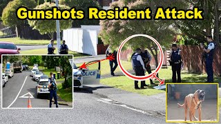 Blood-curdling Screams Gunshots Resident Describes Terrifying Daylight Attack in Auckland suburb