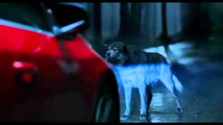 Volvo - What the wolf said?