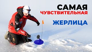 ЖЕРЛИЦА НА СУДАКА, или самая чувствительная жерлица на любую осторожную рыбу. Показываю как делать!