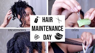 natural hair maintenance day | trim | aloe | color | henna | 4a 4b 4c