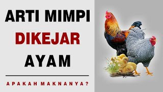 Arti Mimpi Dikejar Ayam