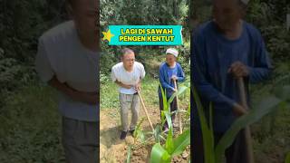 LAGI DI SAWAH PENGEN KENTUT #dubbing #dubbinglucu #funnyvideos #dramalucu #alurcerita #shorts