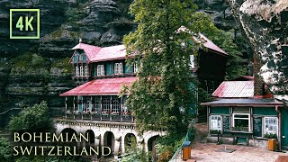 Walking in the Rain - Thunder and Nature Ambience in Bohemian Switzenland National Park