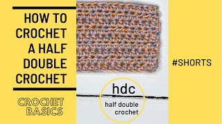 How to crochet half double crochet stitch (hdc) || beginner tutorial || #SHORTS