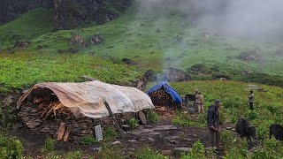 Organic Nepali Mountain Shepherd Life | Shepherd  Food Cooking | Rural Nepali village Lifestyle