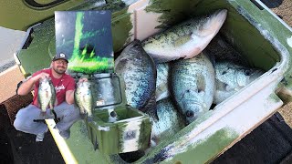 Catching GIANT crappie on Lake Hudson off standing timber using Garmin Livescope 7616 GPSMAPS