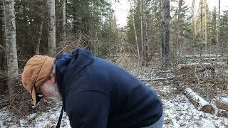 More Trail Clearing (Clip 1 of 2)....It doesn't Pay to Kick a Frozen Log - Part 12