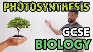 GCSE Biology - Plant Specialised Cells