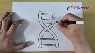 How to Draw a DNA : A Beginner's Guide