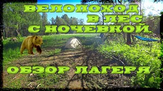 Велопоход своим ходом с ночевкой в лесy. Обзор лагеря, стоянки! лесополоса вырубки19 июня 2022 года.