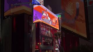 Shinjuku Cat Billboard 2024 Halloween! #japan #travel #fyp #shorts #short #shortvideo #shortsvideo