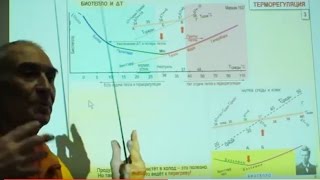 Часть 3. Особенности физиологии нагретого человека. Полезен ли нагрев?