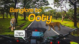 Banglore to Ooty Adventure Bike Ride | Bandipur National Park | Karnataka to Tamil Nadu | EP: 1